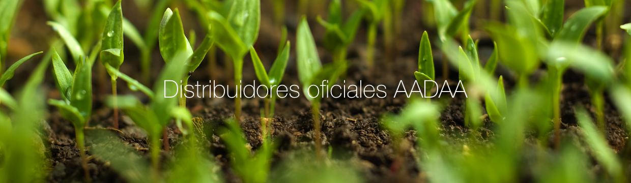 Distribuidores AADAA
